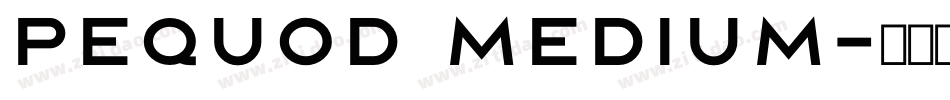 Pequod Medium字体转换